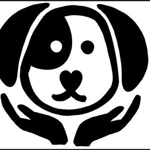 Meet your Posher, Misty